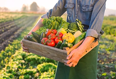 上海优质食堂托管服务